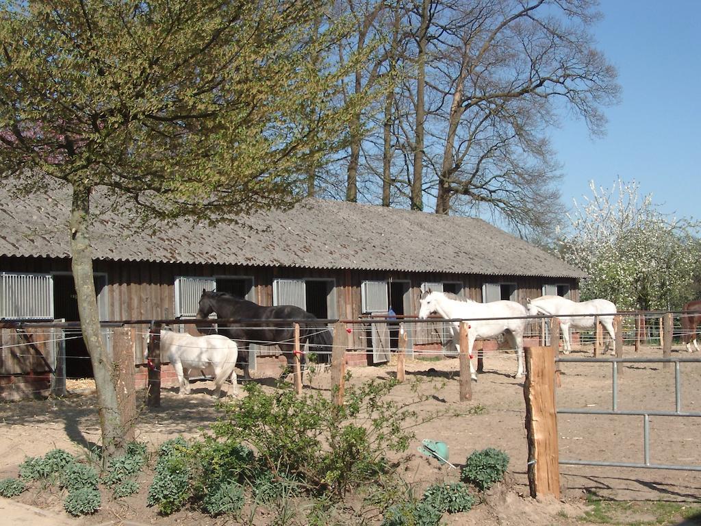 Ferienhof Schmidt Villa Ankum Exteriör bild
